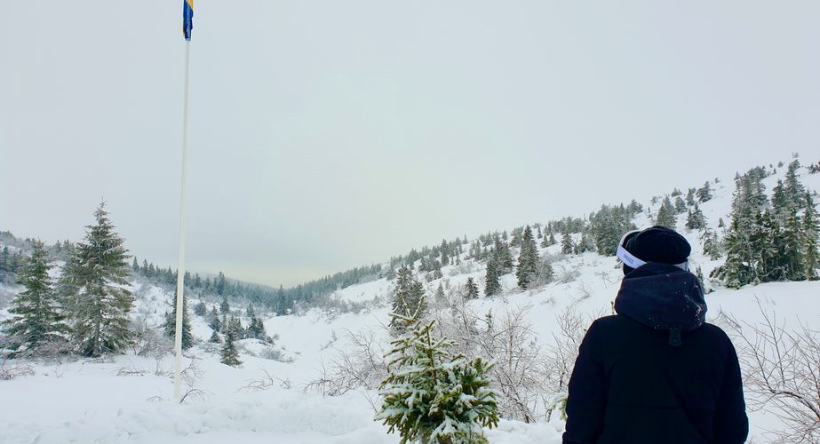 Zweden Nieuw 47 Zweden Nieuw 47